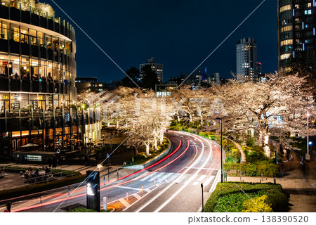 夜櫻 ~東京，東京中城，17~ 138390520