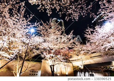 Night Cherry Blossoms ~Tokyo, Ark Hills Akasaka, Part 2~ 138390525