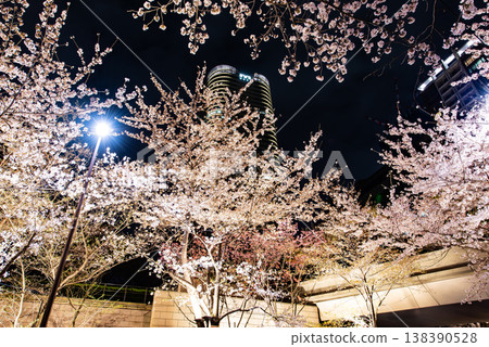 夜櫻~東京,方舟之丘赤坂,第四部~ 夜櫻~東京,方舟之丘赤坂,第四部~ 138390528