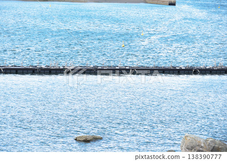 Tokyo Aqua Symphony 138390777