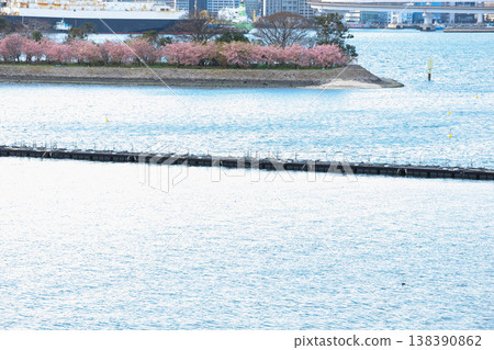 Tokyo Aqua Symphony Tokyo Aqua Symphony 138390862