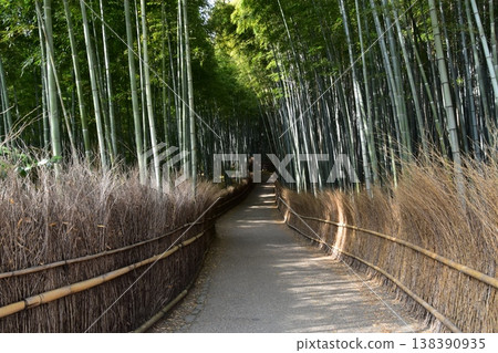 Kyoto in spring in Japan, the streets around Arashiyama, a bamboo forest path that is a tourist attraction, a mysterious path surrounded by lots of bamboo 138390935