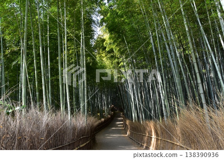 日本春天的京都，嵐山周圍的街道，作為旅遊勝地的竹林小路，一條被大量竹子包圍的神秘小路 138390936
