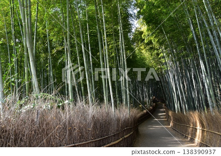 日本春天的京都，嵐山周圍的街道，作為旅遊勝地的竹林小路，一條被大量竹子包圍的神秘小路 138390937