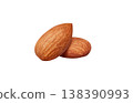 Realistic illustration of an almond 138390993