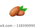 Realistic illustration of an almond 138390995
