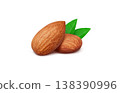 Almond illustration real 138390996