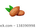 Realistic illustration of an almond 138390998