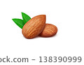 Realistic illustration of an almond 138390999