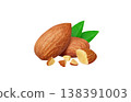 Realistic illustration of an almond 138391003
