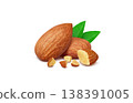Almond illustration real 138391005