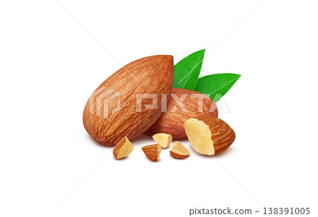 Almond illustration real Almond illustration real 138391005