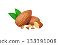Realistic illustration of an almond 138391008