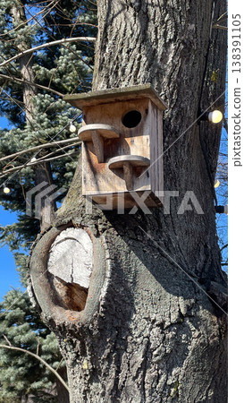 Rustic wooden birdhouse on a mossy tree trunk in a spring park with decorative garden string lights 138391105
