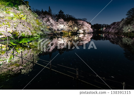 東京井之頭公園的夜櫻 - 第五部分 138391315