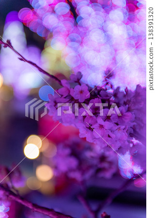 夜櫻～東京讀賣樂園，第五部分～ 138391320