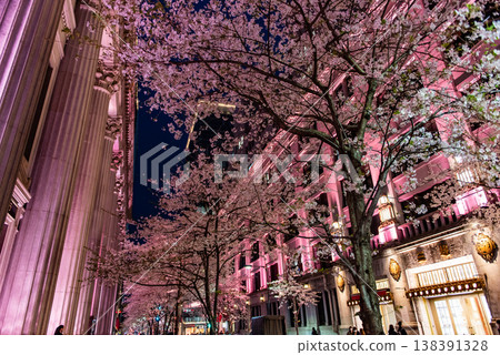 Night Cherry Blossoms ~Tokyo, Edo Sakura Street, 11~ Night Cherry Blossoms ~Tokyo, Edo Sakura Street, 11~ 138391328