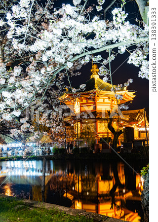 Cherry blossoms at night ~Tokyo, Ueno Park, Part 1~ 138391333