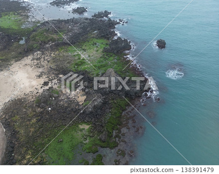 老梅樹綠石盆 138391479