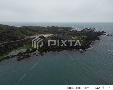 老梅樹綠石盆 138391482