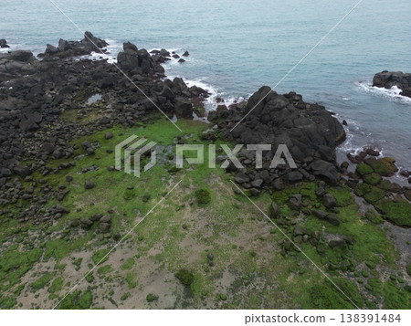 老梅樹綠石盆 138391484