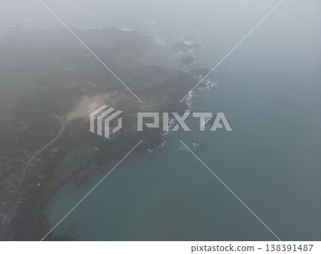 老梅樹綠石盆 138391487