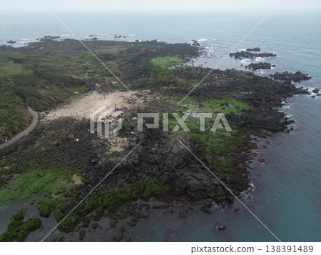 老梅樹綠石盆 138391489