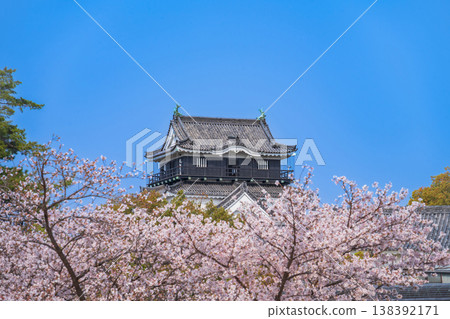 Okazaki Castle in spring, cherry blossoms in full bloom (Okazaki City, Aichi Prefecture) 138392171