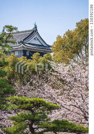 春天的岡崎城，櫻花盛開（愛知縣岡崎市） 138392186