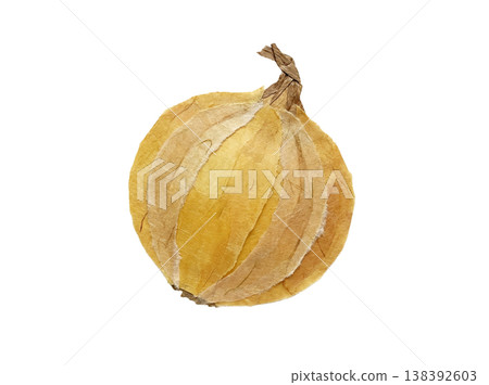 洋蔥插畫 | 和紙拼貼風格，柔和的手工質感 138392603