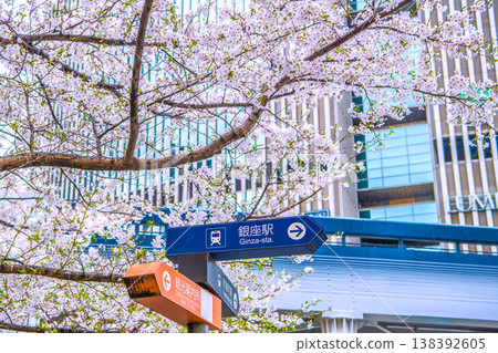 A cityscape of Tokyo, Japan, on April 1st. Views include the Yurakucho Marion building (in the background) and cherry blossoms in Sukiyabashi Park, Chuo Ward. 138392605