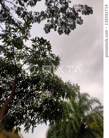 Dark clouds gather above lush trees, hinting at rain on a quiet, overcast afternoon. Dark clouds gather above lush trees, hinting at rain on a quiet, overcast afternoon. 138392714