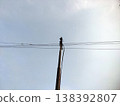 Wooden utility pole and wires clean sky backdrop frames urban infrastructure in quiet daylight 138392807