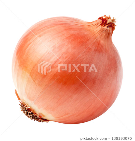 Onion illustration 138393070