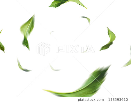 Fresh green leaves flying in the air isolated on white background. 138393610