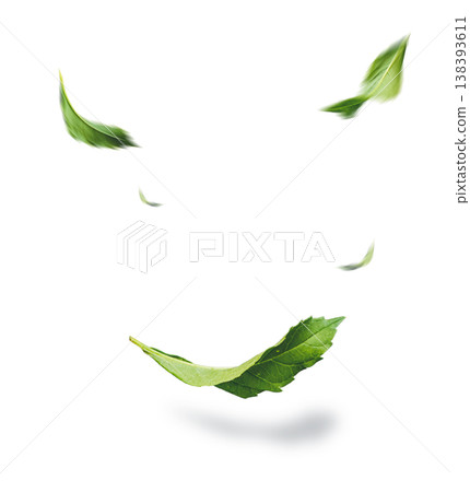 Green Leaves Floating Isolated on White Background 138393611