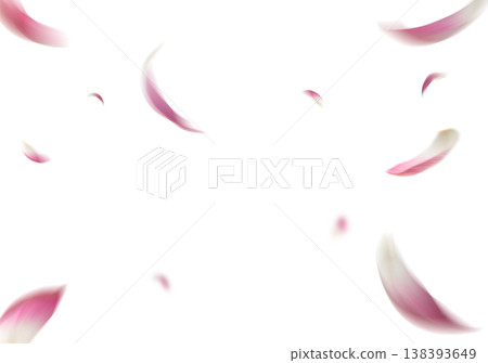 Falling Pink Flower Petals Isolated on White Background Falling Pink Flower Petals Isolated on White Background 138393649