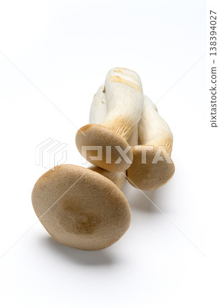 Fresh king oyster mushrooms in a white background food photo Fresh king oyster mushrooms in a white background food photo 138394027