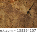 Rusty iron plate, rock texture, copy space, background 138394107