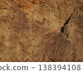 Rusty iron plate, rock texture, copy space, background 138394108