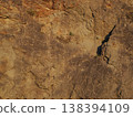 Rusty iron plate, rock texture, copy space, background 138394109