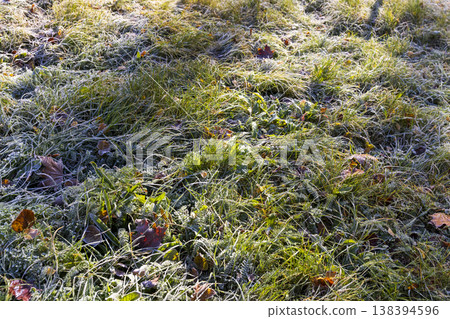 the green grass and yellow foliage of the trees are covered with white frost after the first night frosts in the autumn season the green grass and yellow foliage of the trees are covered with white frost after the first night frosts in the autumn season 138394596