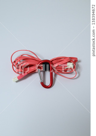 Vertical orientation LAN cable and carabiner storage 138394672