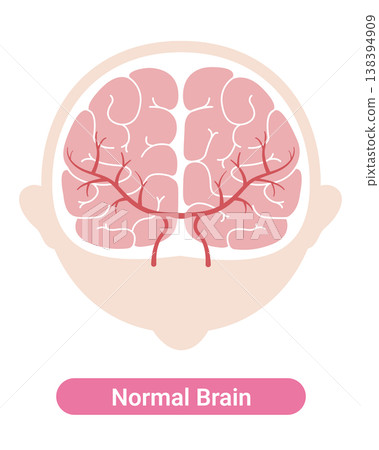 正常大腦:醫學插畫(英文版) 正常大腦:醫學插畫(英文版) 138394909