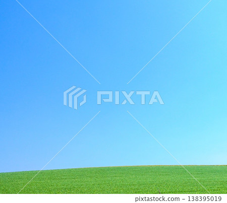 北海道美瑛市的簡單風景,在清爽的夏日藍天下。 北海道美瑛市的簡單風景,在清爽的夏日藍天下。 138395019