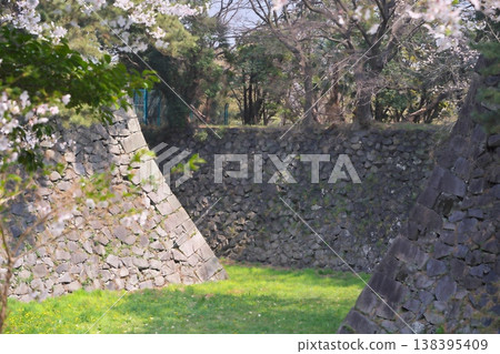 名古屋城的外護城河、盛開的櫻花和油菜花。 138395409