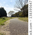 A walking path in a park surrounded by trees 138395647
