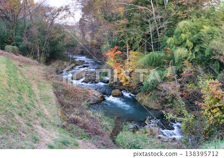 River surrounded by autumn leaves 138395712