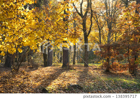 Fall landscape Fall landscape 138395717