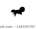 Silhouette of a Taiwanese squirrel 138395787